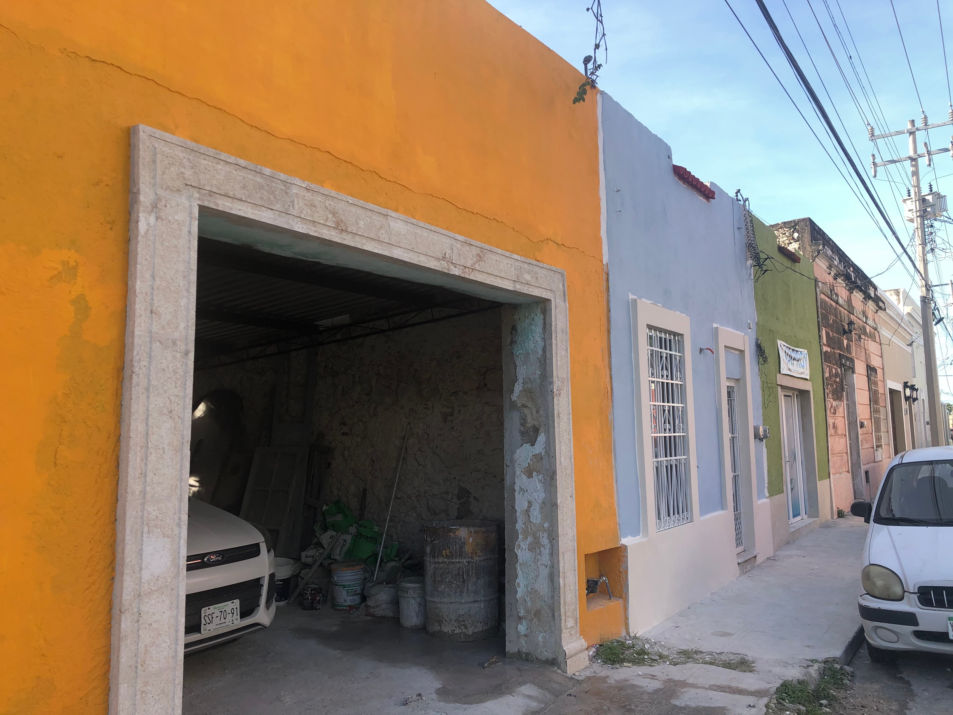 Jardín tropical
